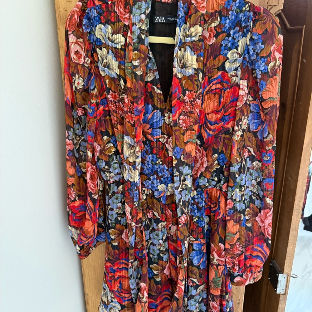 Zara Multicolor Floral dress